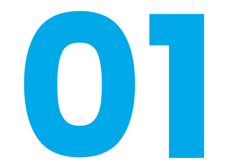 01-opt